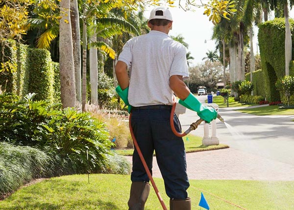 About Lovell ME Pest Control